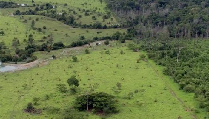 © MMA/Arquivo Governo prorroga prazo para georreferenciamento de imóveis rurais
